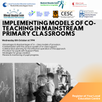 Implementing Models of Co-Teaching in Mainstream Primary Classrooms